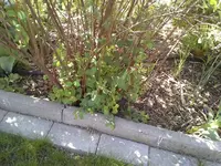 072.webp