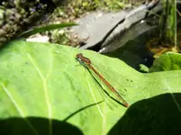 DSCF4515_1600x1600_1000KB.webp