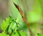 DSC_0147.webp