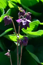 DSC_0205.webp