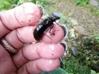 DSCF4163.webp