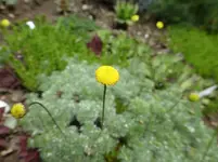 P1060835.webp