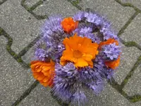 P1070011.webp