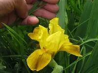 014_1024x768.webp