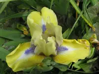 015_1024x768.webp