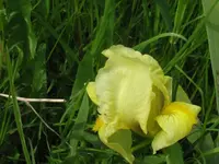 019_1024x768.webp