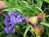 018_1024x768.webp