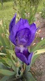 WP_20140505_007.webp
