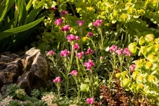 Stg 14-05-05-2027.webp