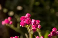 Stg 14-05-05-2028.webp