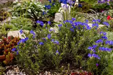 Stg 14-05-05-2030.webp