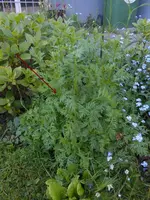 unbekannt_1.webp