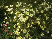 BILD2786.webp