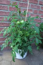 IMG_0738.webp