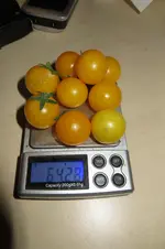 IMG_0730.webp