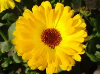 DSC03363.webp