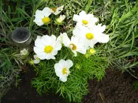 DSC03357.webp