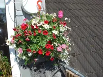DSC03328.webp