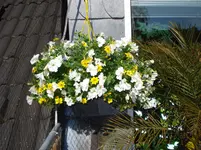 DSC03329.webp