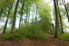 2014_0501Frühling0009.webp