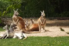 2014_0504Frühling0048.webp