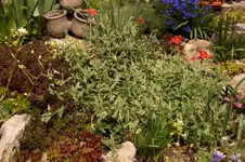 Stg 14-05-06-2052.webp