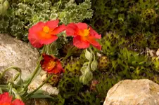 Stg 14-05-06-2054.webp