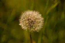 W 14-05-05-2035.webp
