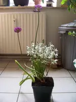 001.webp