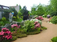 PICT0004.webp