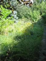 IMG_0486.webp
