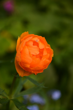 DSC_1069.webp