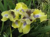 001_1024x768.webp