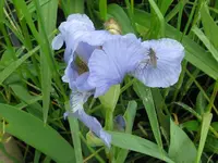 002_1024x768.webp