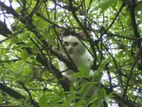 BILD2775.webp