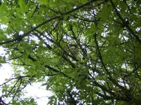 BILD2773.webp