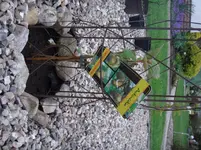 DSC00840.webp