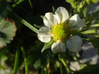 DSC00860.webp