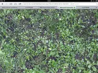 image.webp