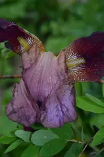 DSC_0017.webp