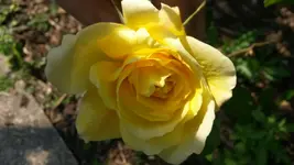 2014-04-25 15.39.22.webp