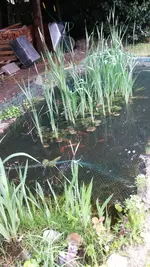 2014-04-27 16.10.54.webp