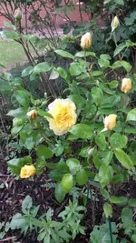2014-04-27 17.18.43.webp