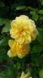 2014-05-01 13.13.14.webp