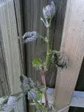 u47a4au4.webp