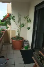 DSCF2818.webp