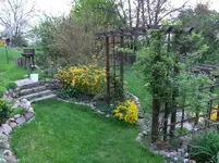 DSCF0383_8_1.webp