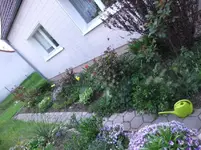 DSCF0387_12_1.webp