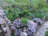 DSCF0386_11_1.webp