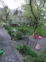 DSCF0376_1_1.webp